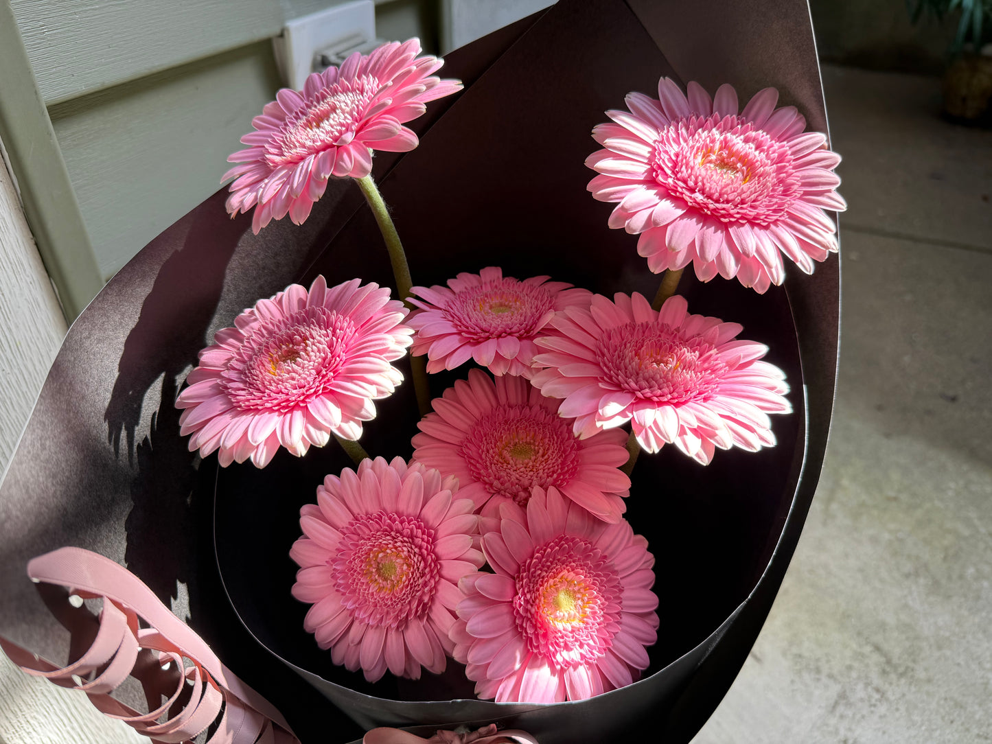 Ribbon Gerbera Bouquet