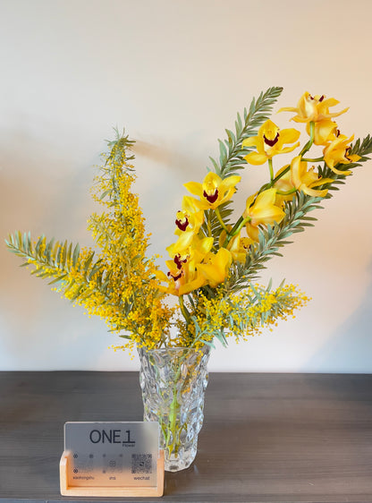 Acacia｜Cymbidium