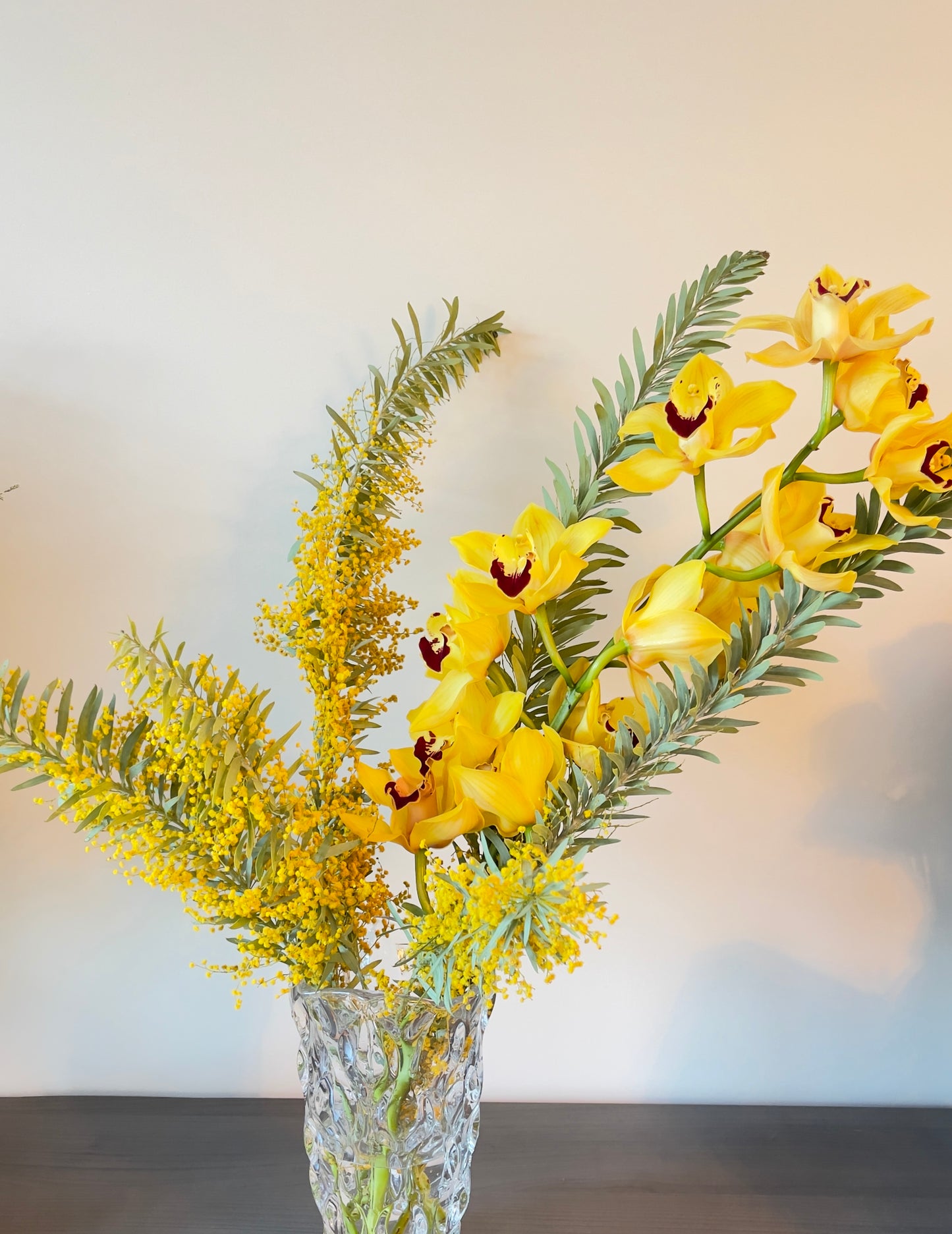 Acacia｜Cymbidium