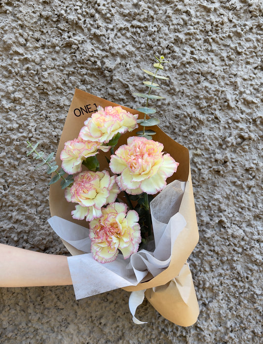 Little Carnation Bouquet