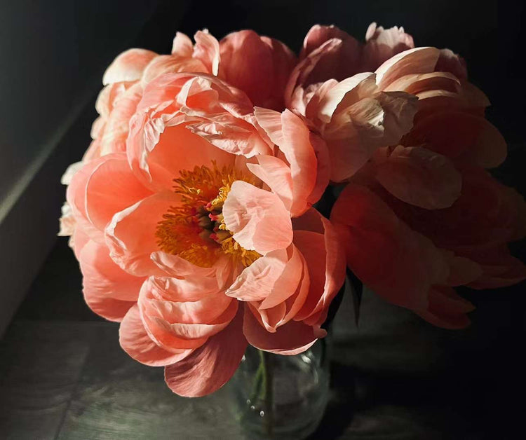 One1flower